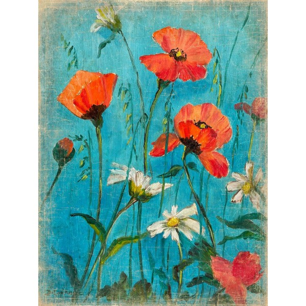 COQUELICOTS ET MARGUERITES (90x120cm)